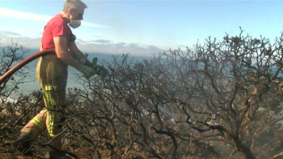 Firefighter putting out wildfire at Cromer Cliffs