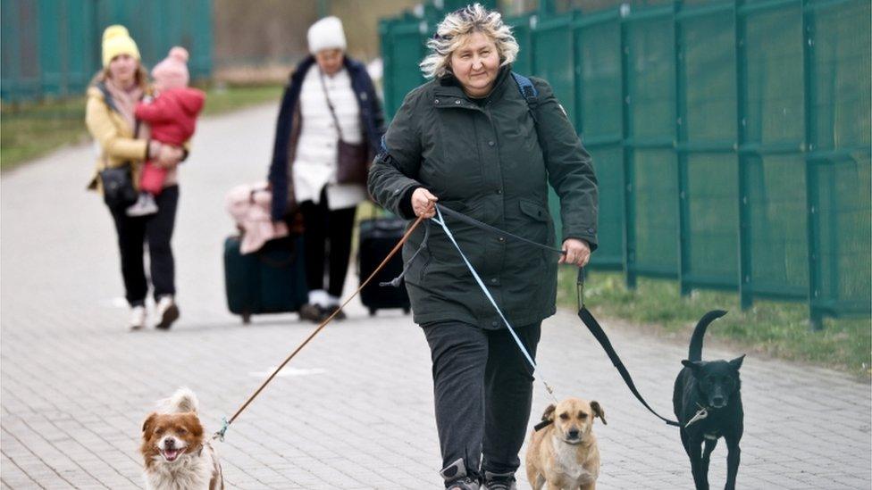 A woman crosses the Ukrainian-Polish border at Medyka