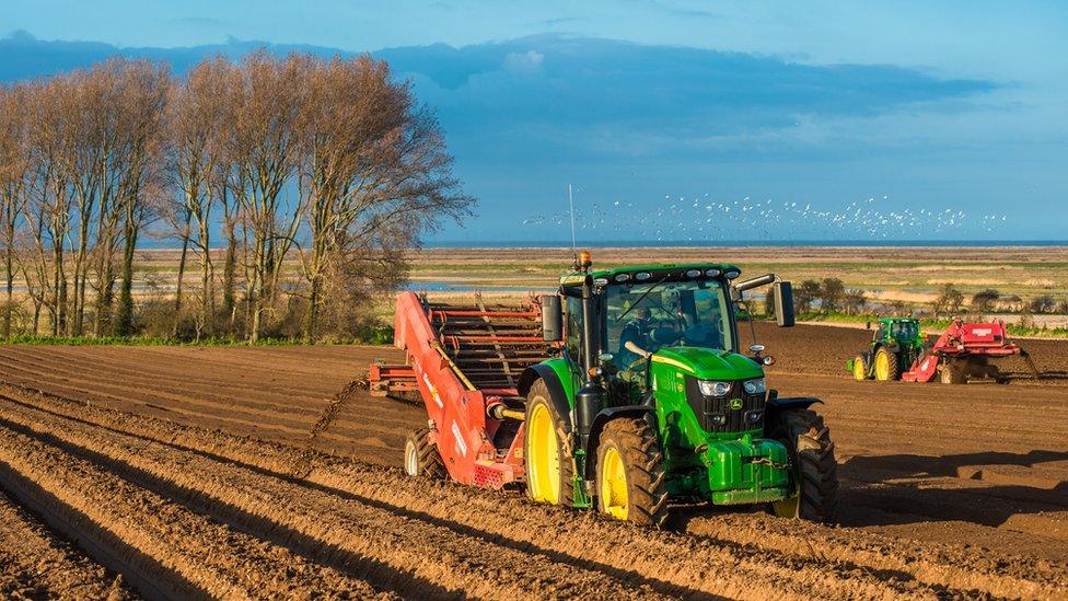 Farm in Norfolk