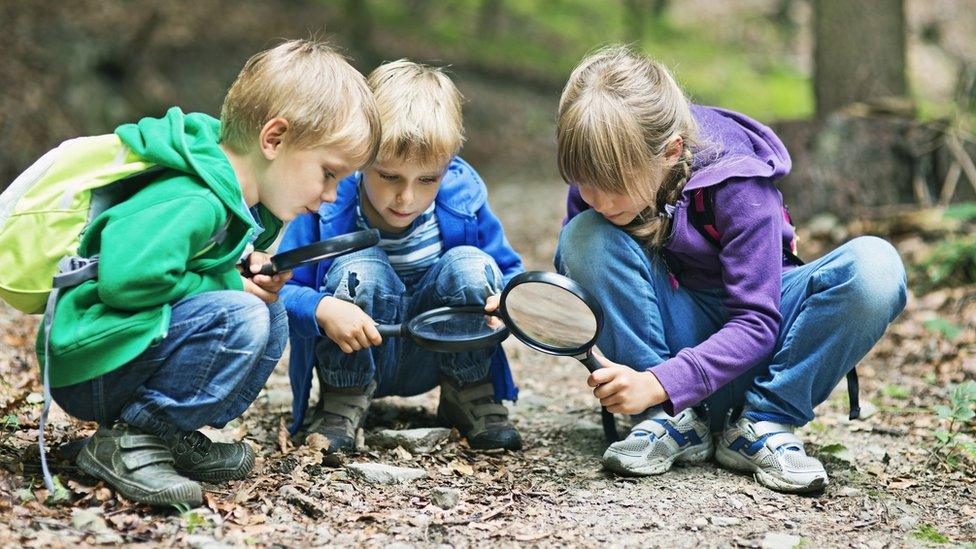 Three children outside in a wood exploring