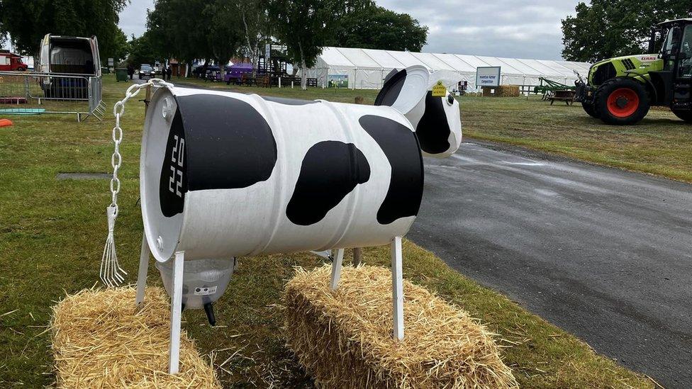 A barrel decorated as a cow at the Suffolk Show