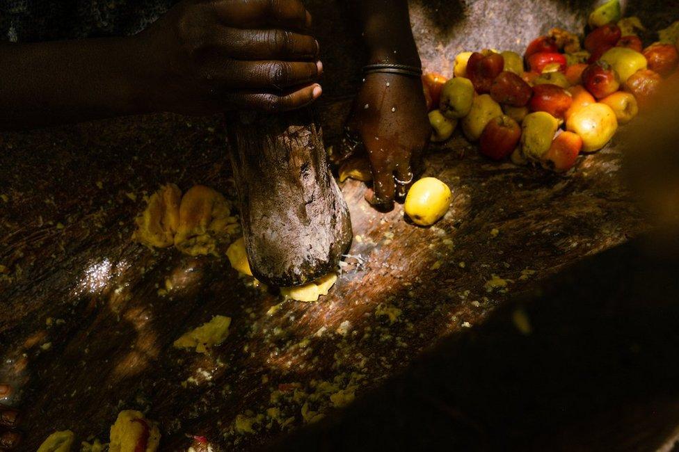 Quinta Cabi and Meia Nianta squeeze the juice from cashew apples. They will ferment the juice and then sell it as cashew wine for domestic consumption. Nianta said they can make around 5,000 cfa a day from selling the locally made brew.