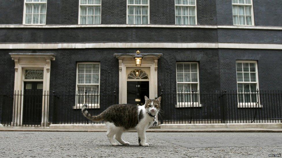 Larry the cat is Downing Street's chief mouser.