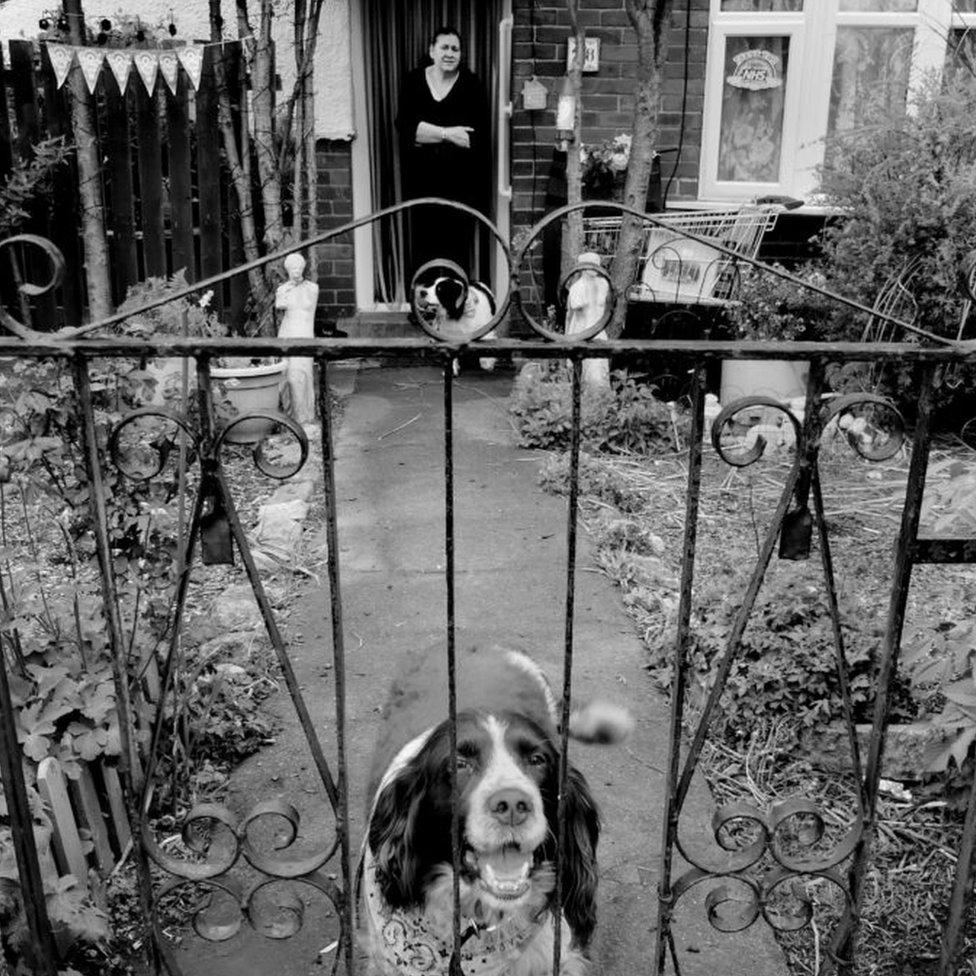 Dog at the gate