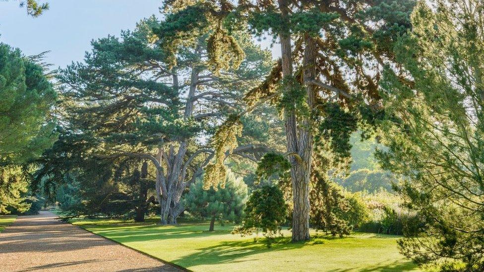 Cambridge University Botanic Garden