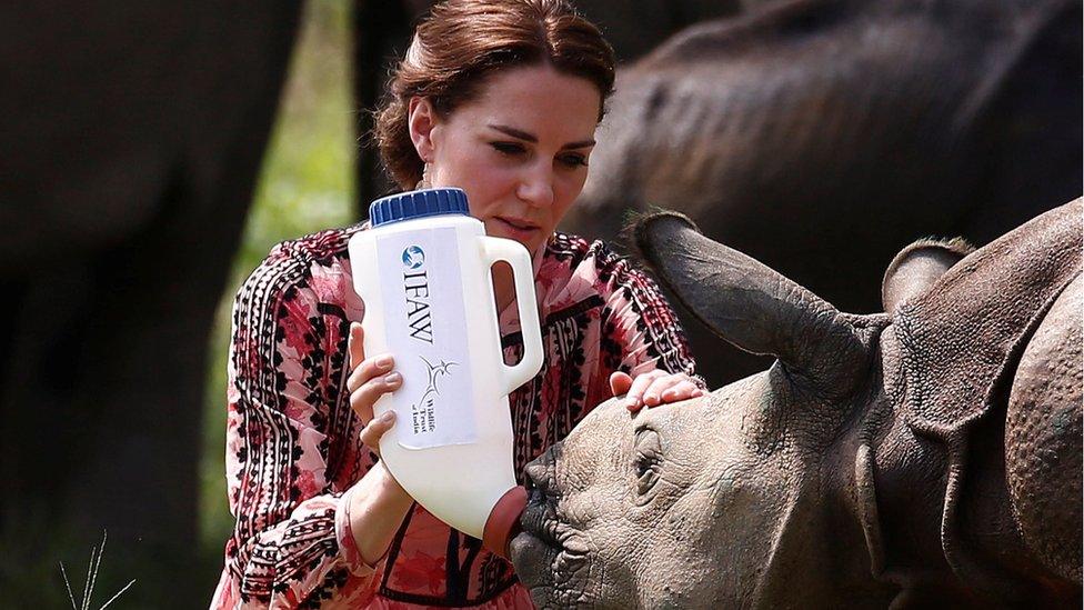 The Duchess of Cambridge feeds a baby rhino at the Panbari reserve forest in Kaziranga on 13 April 2016