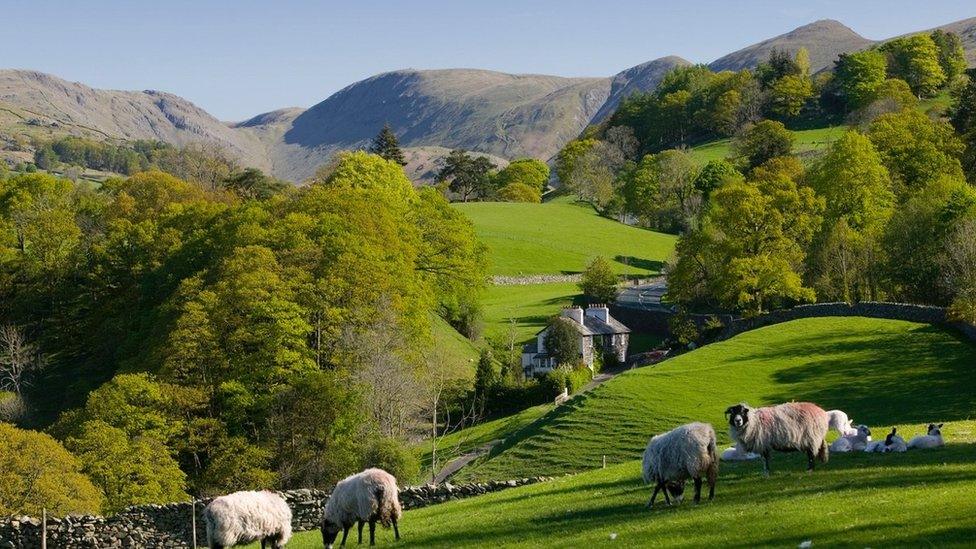 Cumbria