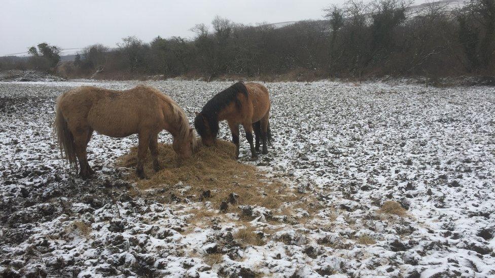 Snow in Mynachlog-ddu, Preseli Hills