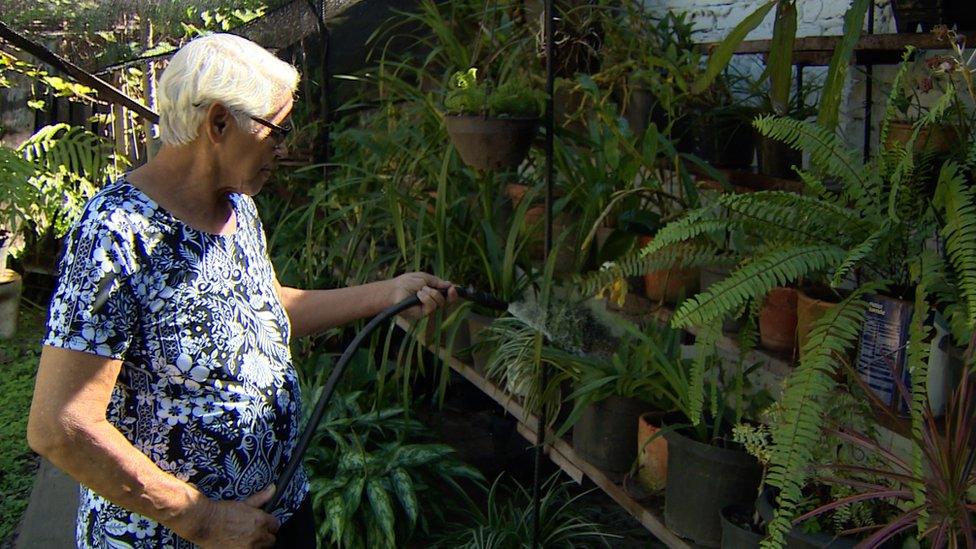 Cilta Maria watering her orchids