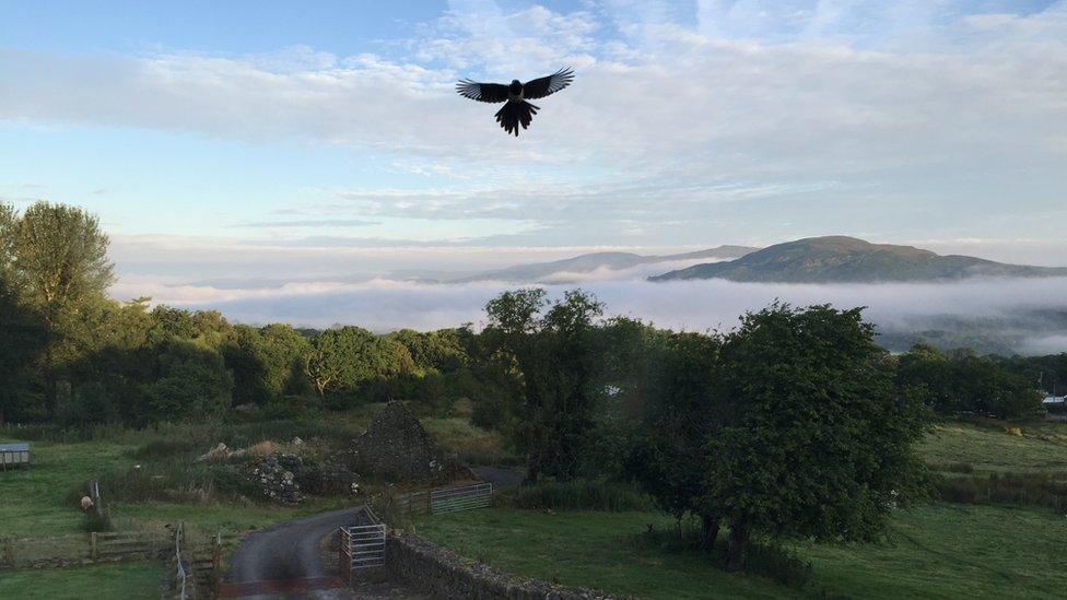 A lone magpie, spotted by Duncan Pritchard