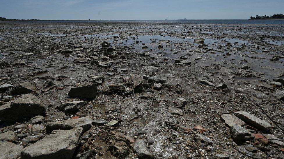 A view shows bank of Kakhovka Reservoir with Zaporizhzhia Nuclear Power Plant on an opposite bank after the Nova Kakhovka dam breached, amid Russia's attack on Ukraine, near the town of Nikopol, in Dnipropetrovsk region, Ukraine June 9