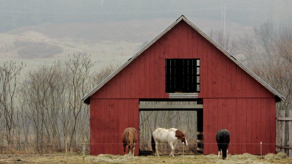 Three horses are shown standing outside of a open-door red barn.