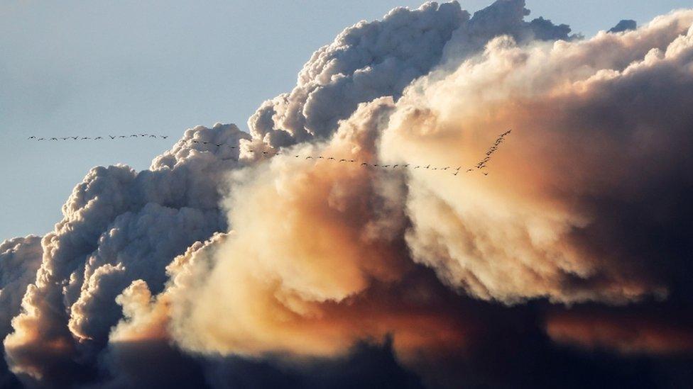 A cloud of smoke formed by a wildfire in Canada