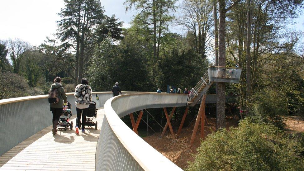 Treetop walkway opens to public