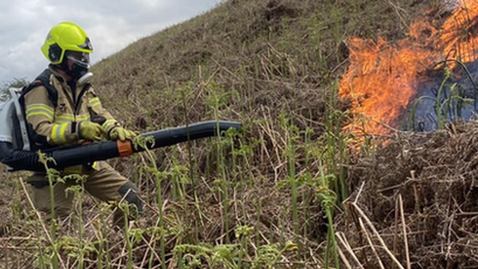 A firefighter hosing down a grass fire in Talgarth