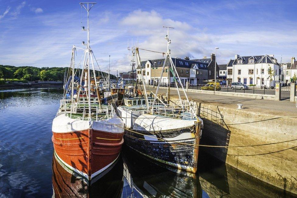 Fishing boats in a harbour