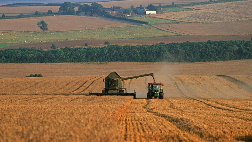 Lincolnshire landscape