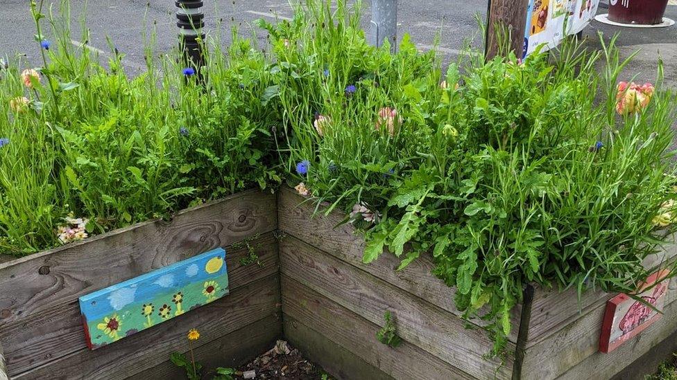 Planters down Barton Street