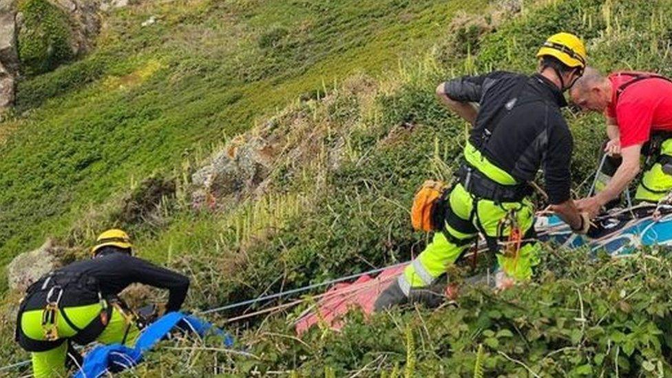 Rescue teams helping to lift a trapped dog to safety