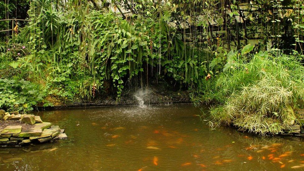 Roath Park conservatory