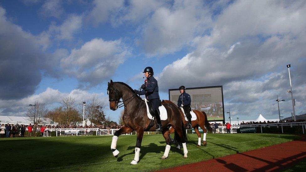 Racehorses at Cheltenham racecourse