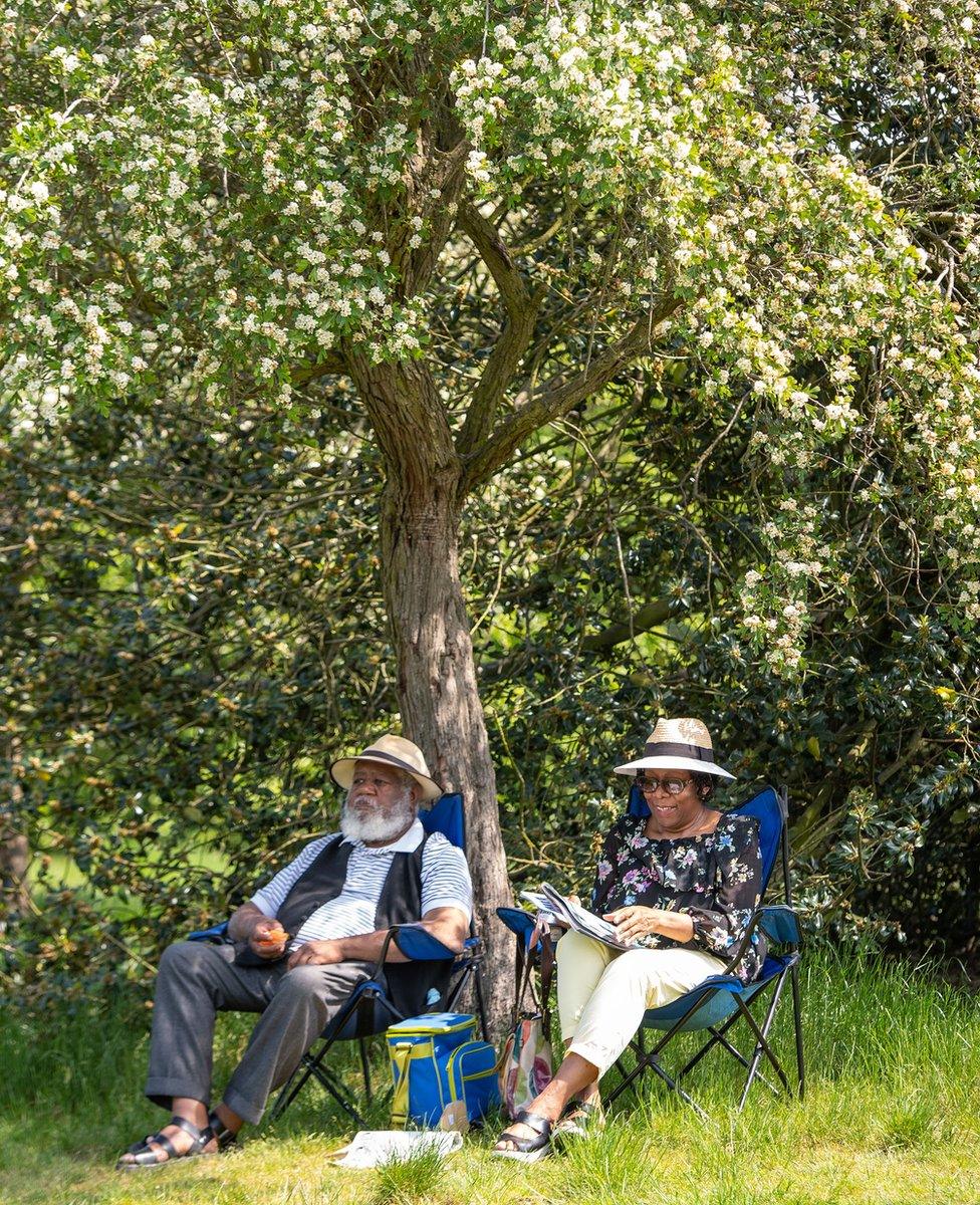 People picnic in the sun in Greenwich Park, London