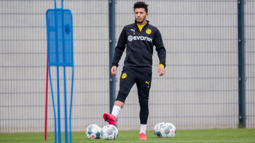 Sancho in training