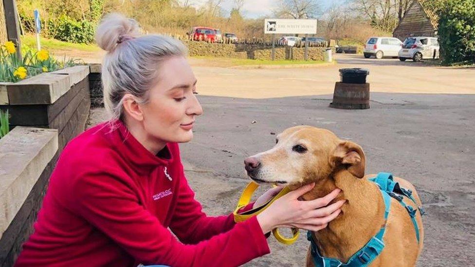 Sophia Gibbs and a dog at Dogs Friends