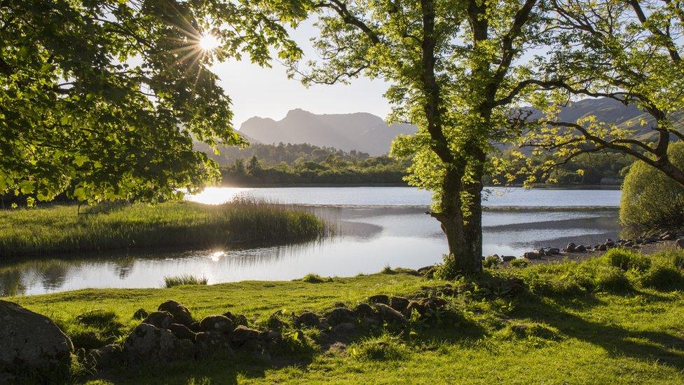 Large lake, river flowing into it, trees in the background