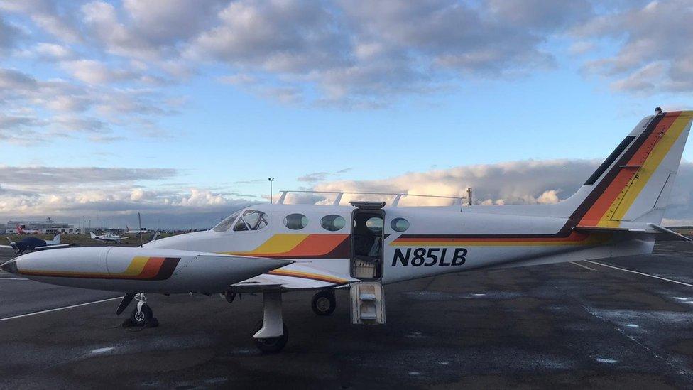 Pup arriving at Newcastle Airport