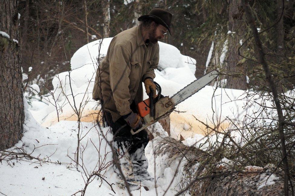 David cuts down trees