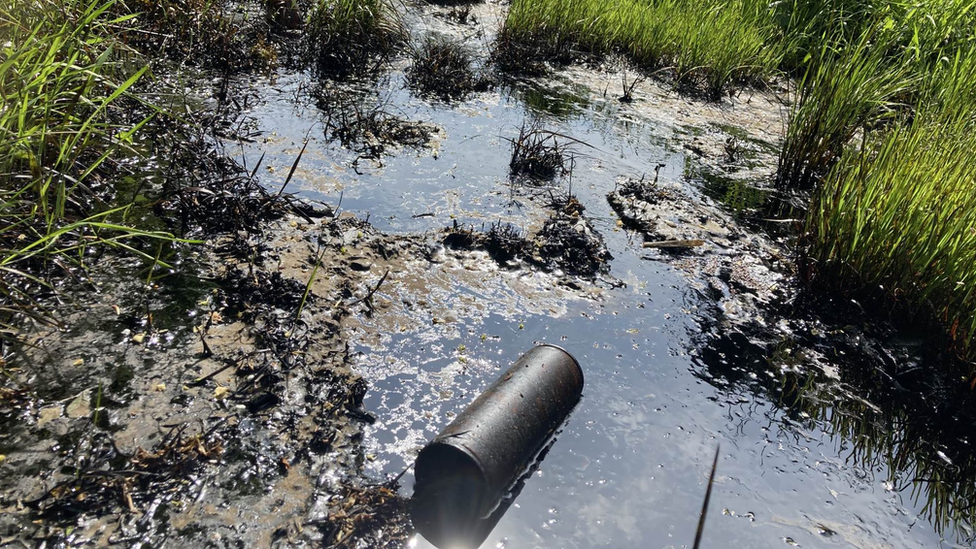 Black oil which has been dumped in a Norfolk beauty spot