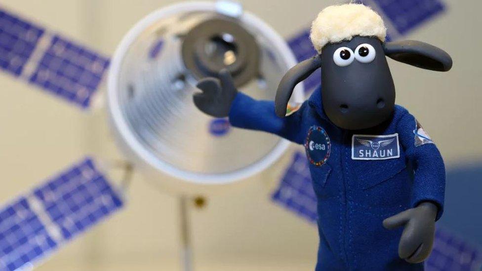 shaun the sheep