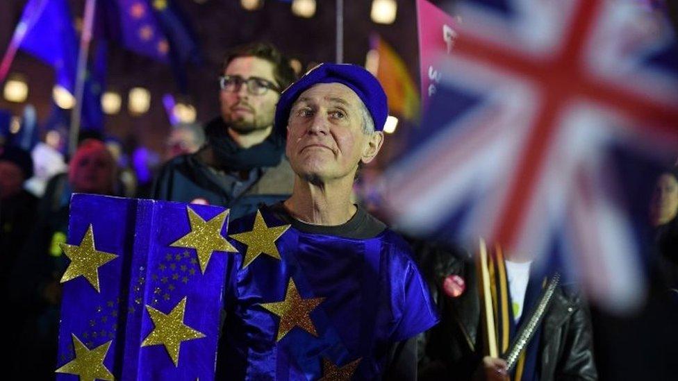 Anti- Brexit protester