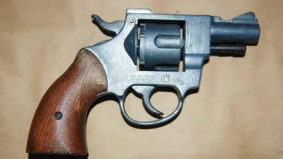 Gun