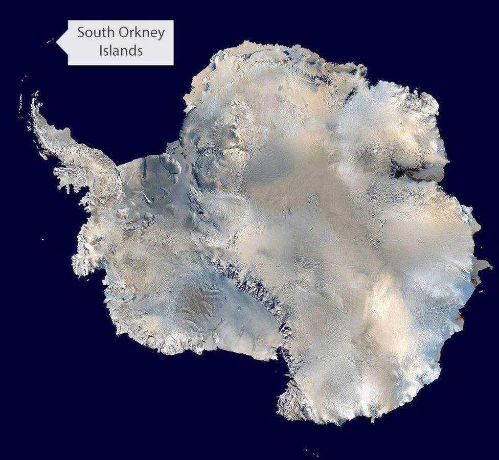 Antarctica