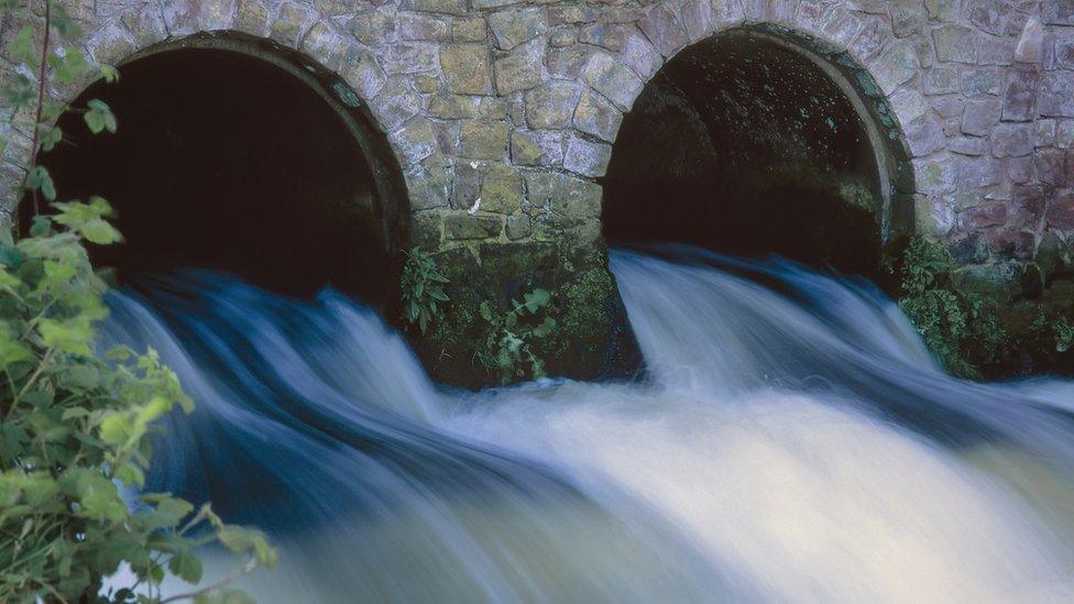 Two sewage drains