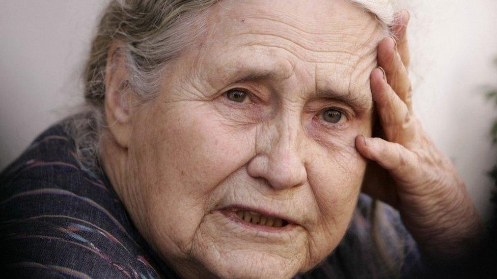 Doris Lessing