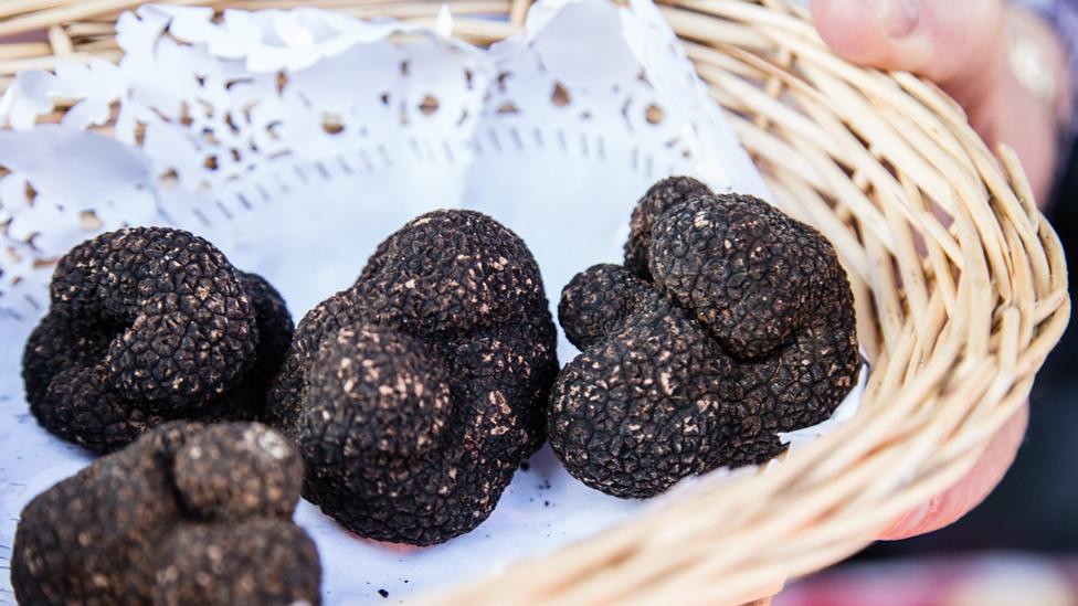 Black truffles