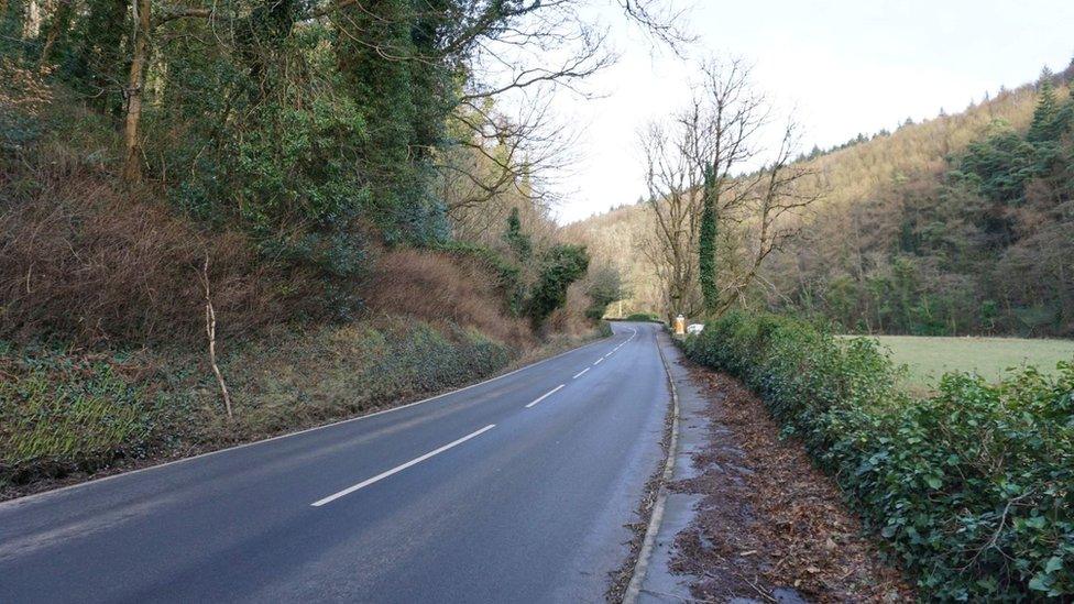 A stretch of road trees will be removed from