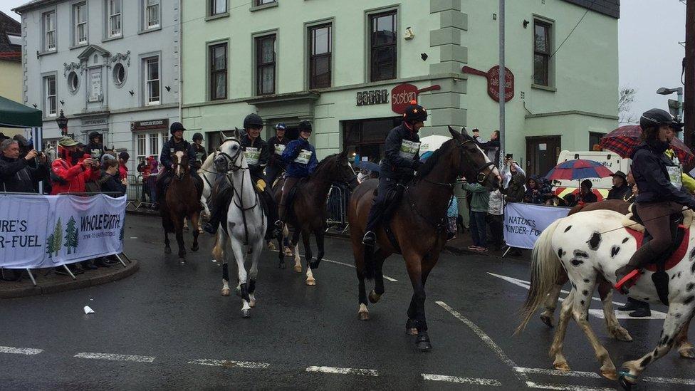 Horses in Llanwrtyd, Powys