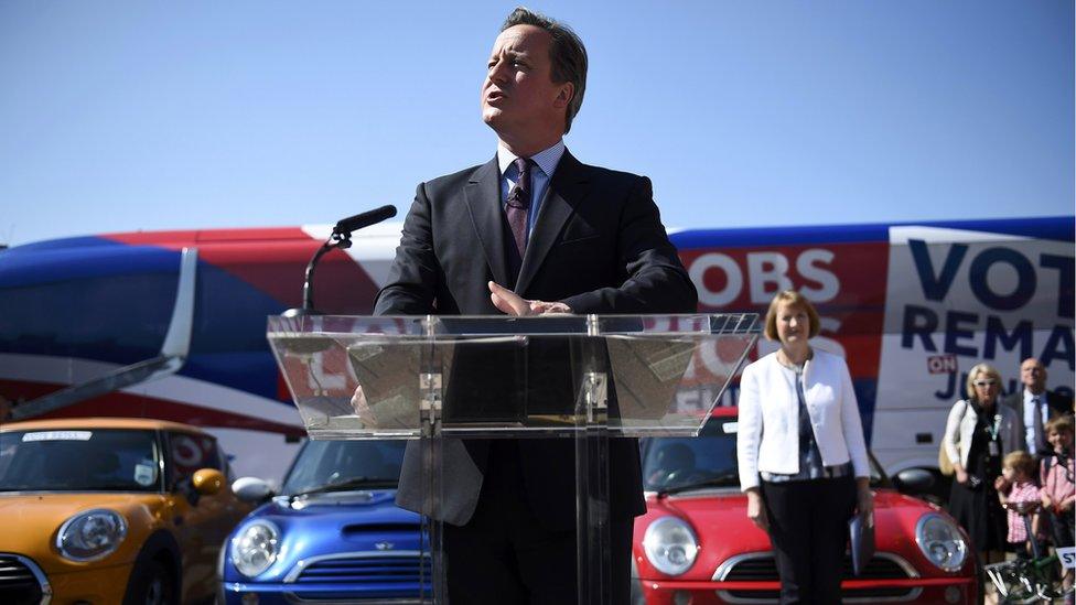 David Cameron speaks at a Remain in the EU campaign event at the Oval cricket ground