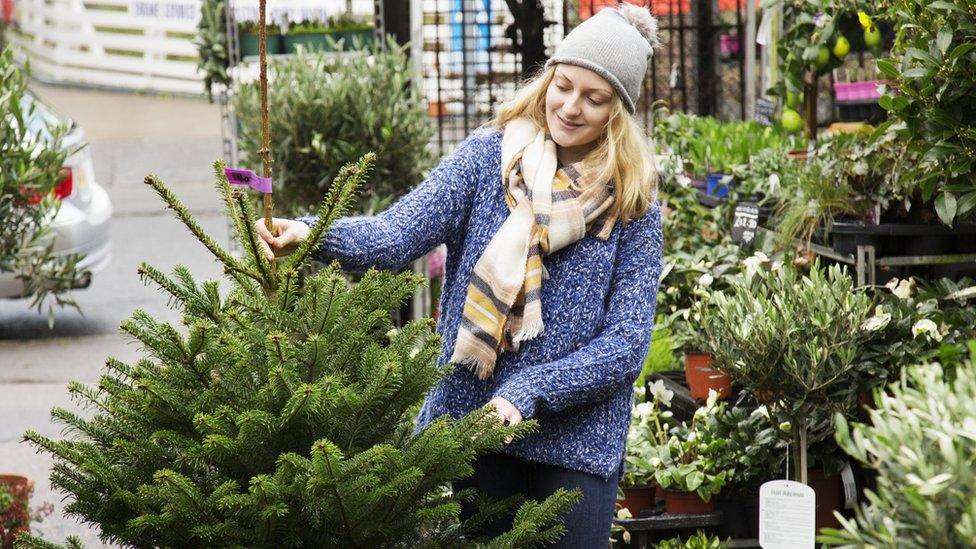 Woman selling Christmas tree