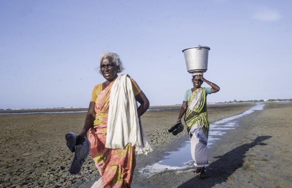 Elderly fisherwomen