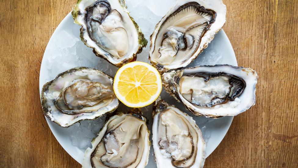 Plate of oysters