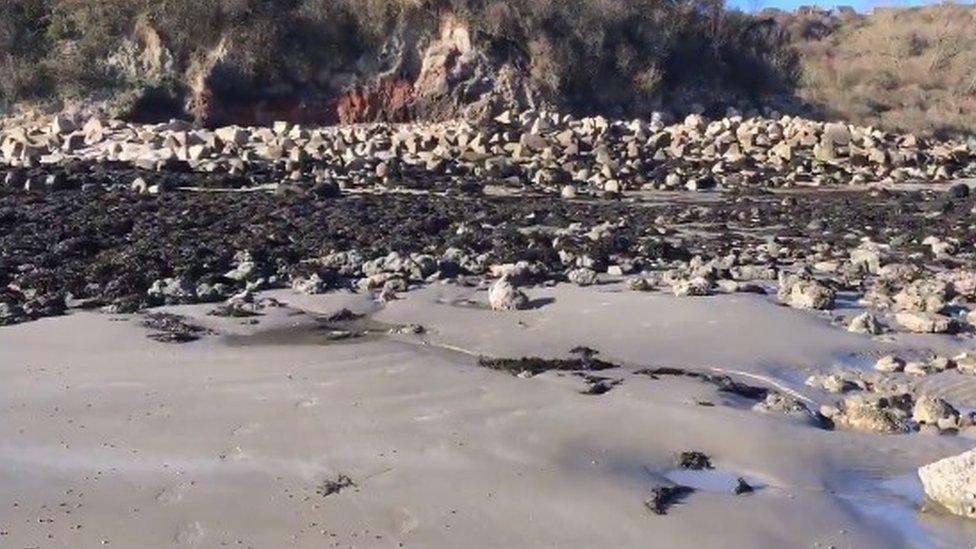 Folkestone beach where migrants were found