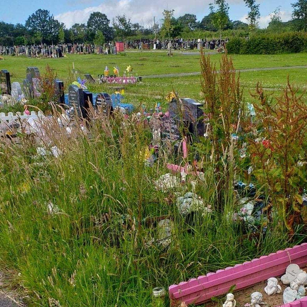 Overgrown graves at Landican Cemetery