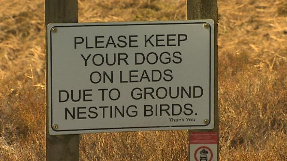 A sign saying 'Please keep your dog on a lead due to ground nesting birds'