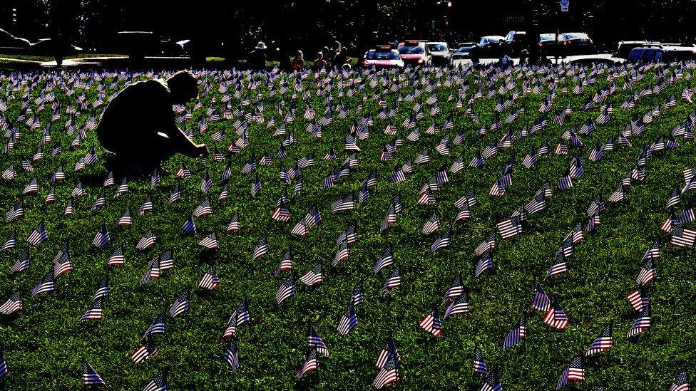 A field full of tiny American flags