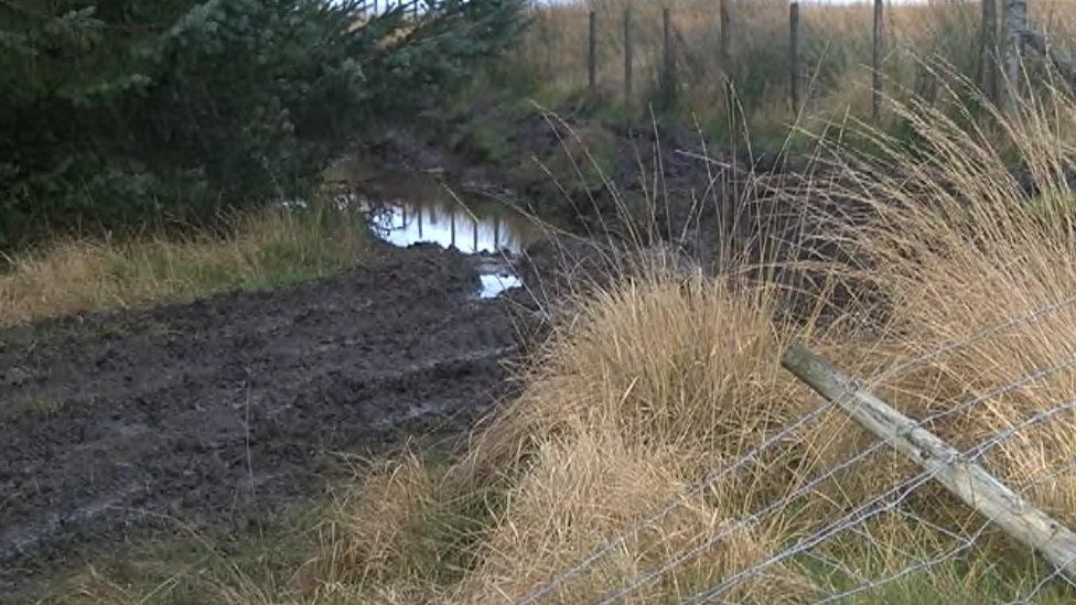 Damaged caused to NRW land